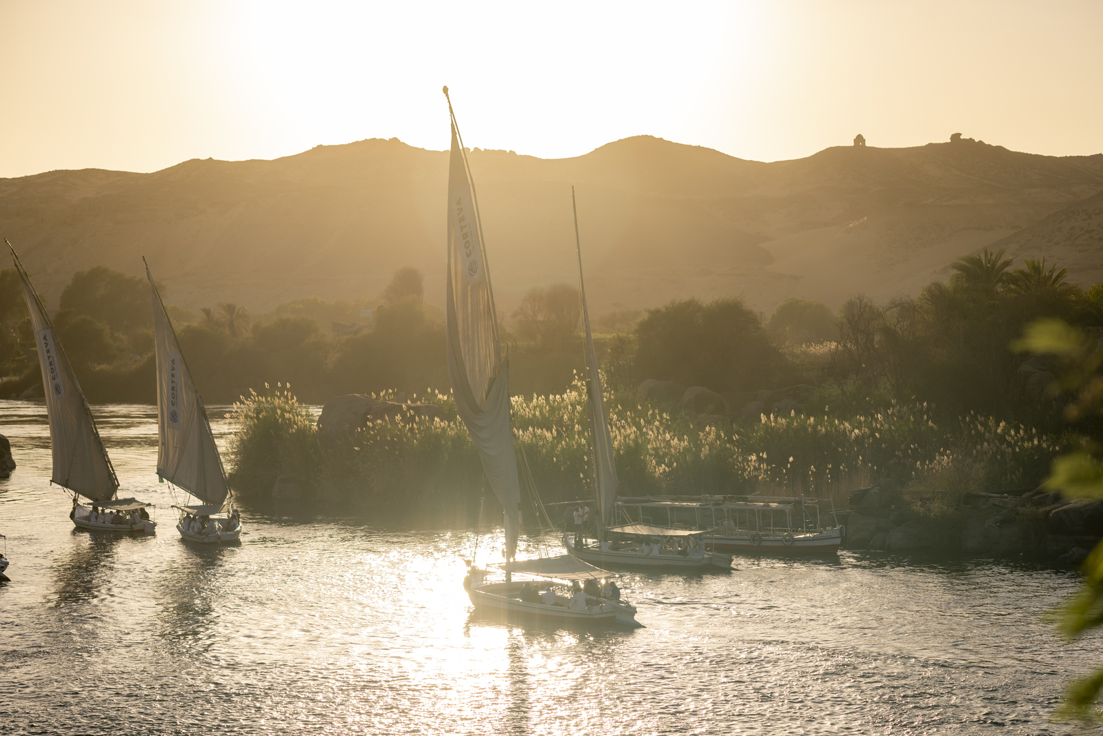 Our Jewel on the Nile