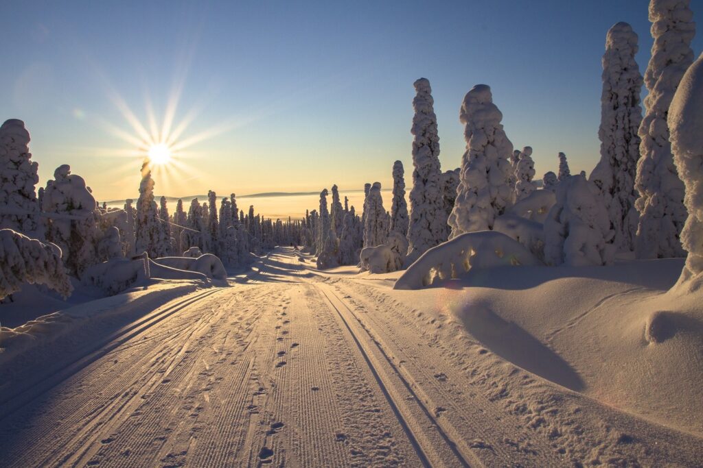 snowy landscape Finland