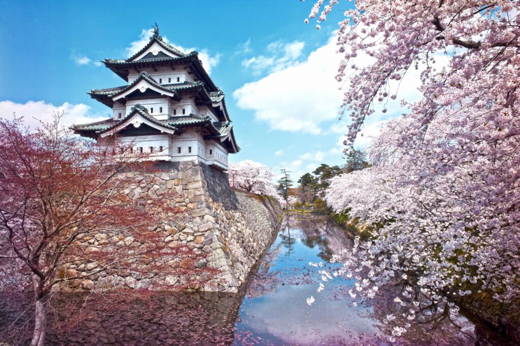 Osaka castle in Japan is seen through a view of bright pink cherry blossom trees next to bright blue water