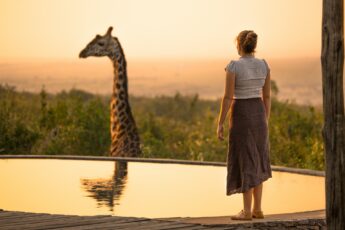 A woman stands at the edge of a pool at a luxury safari lodge observing a giraffe