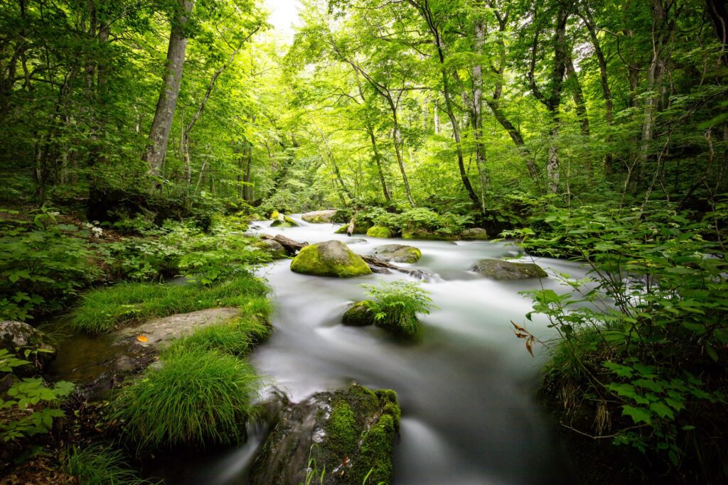 Beautiful Places In Japan Nature