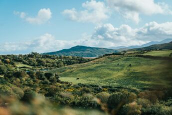 View of rolling green landscape on the Ring of Kerry in Ireland