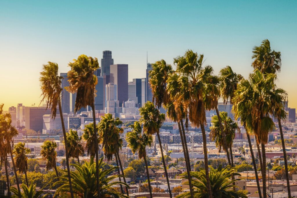 Row of palm trees in front of a city skyline in the background
