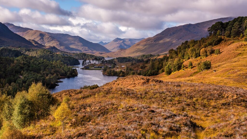 Rolling hills in autumn colours on the Scottish Highlands