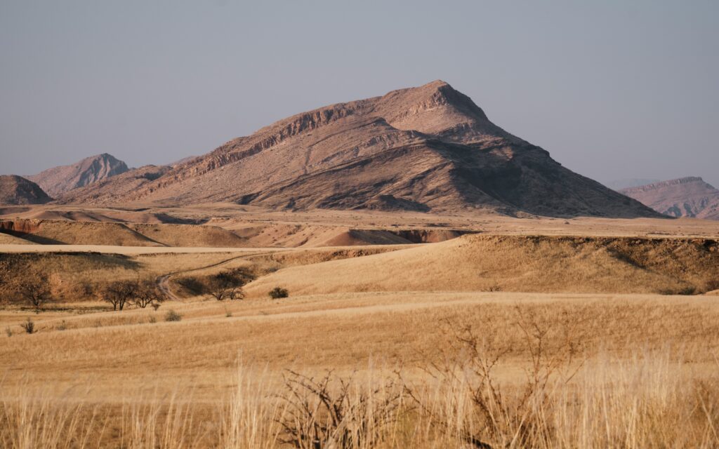 Brown grassland of Namibia's National Parks
