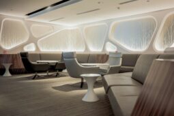 Business Class vs First Class: Main Differences