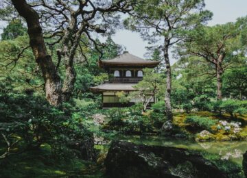 topcools-tee-DF_vVUxpClc-unsplash topcools-tee-DF_vVUxpClc-unsplash