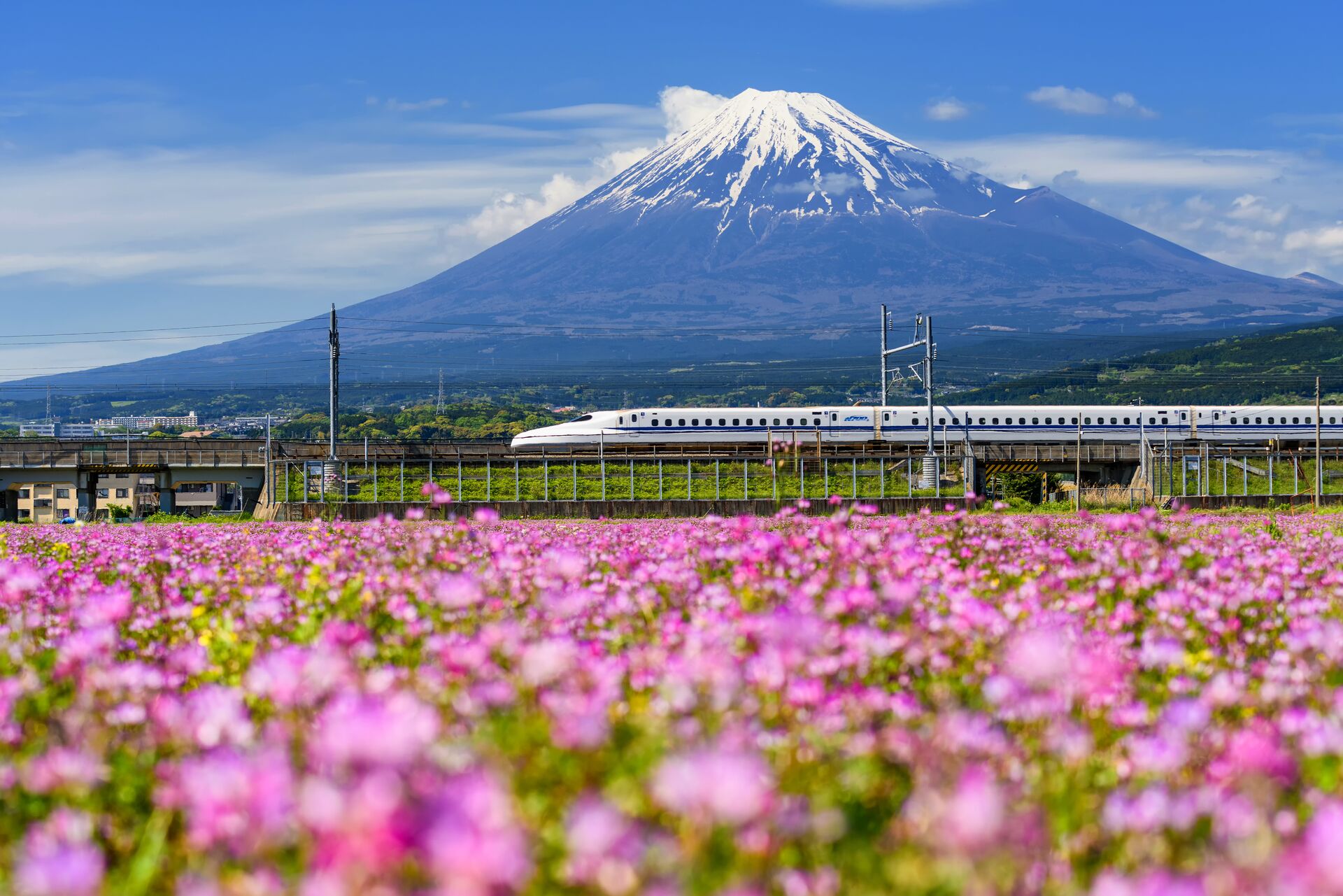 Shinkansen Bullet Train in Japan with Mount Fuji in the background