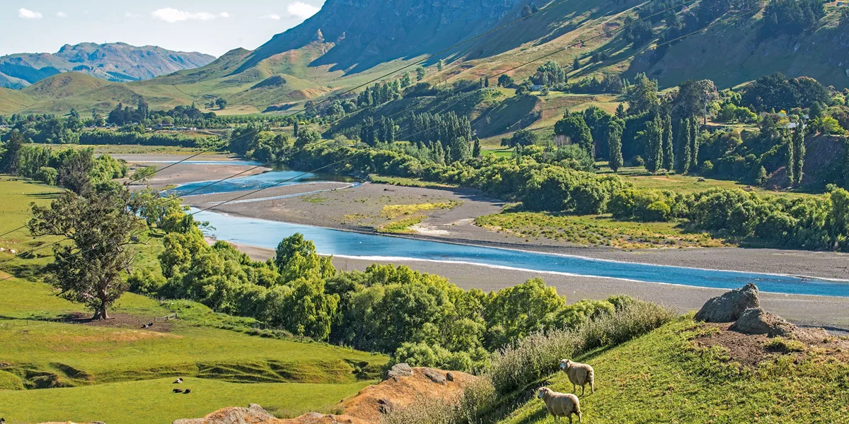 The Endless Shores Luxury Tour