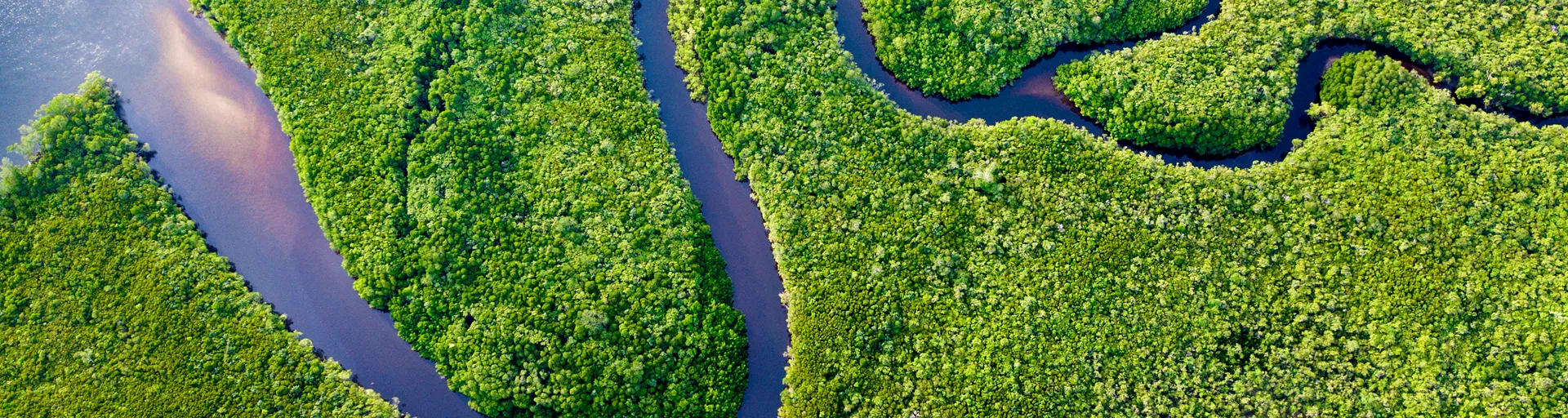 Australia Daintree Coastline