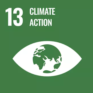 '13 climate action' against green background