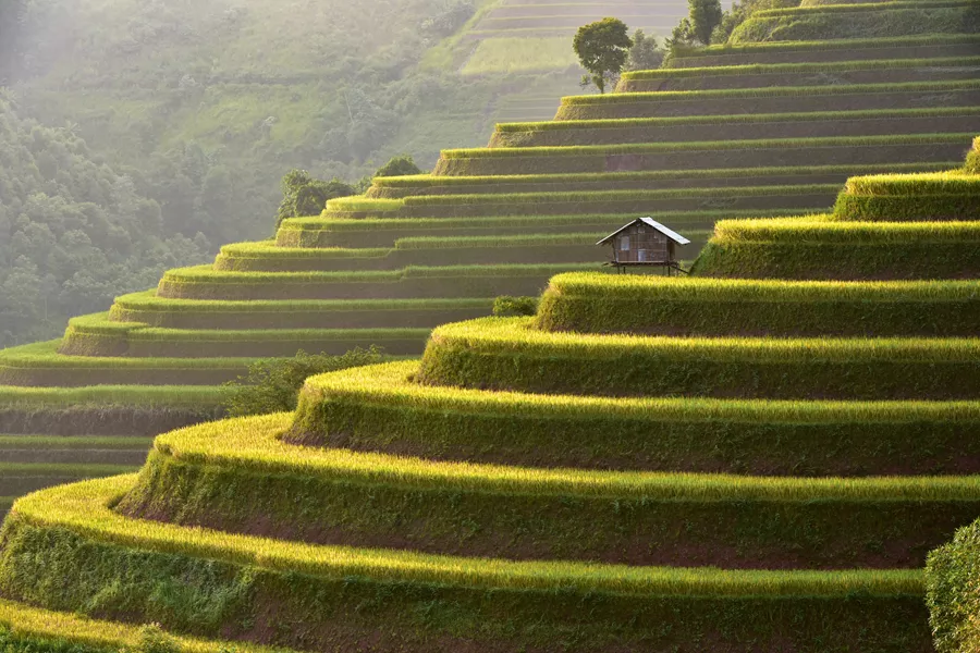 Laos Hillside House