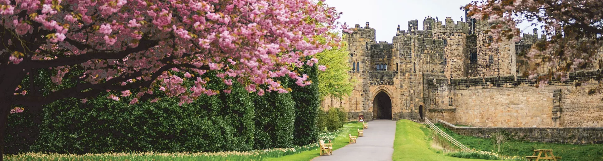 Alnwick Castle in England, the UK during spring