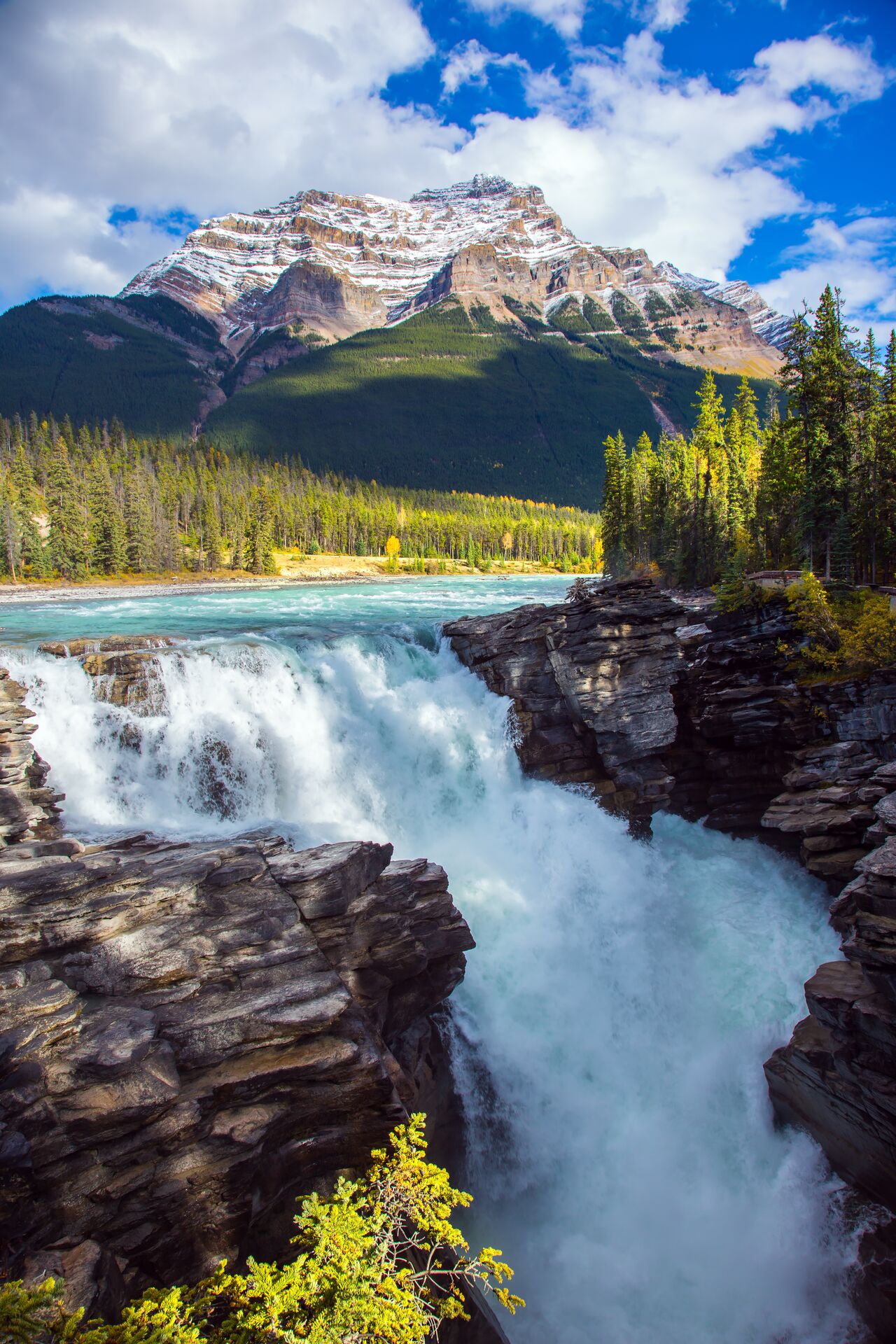 Athabasca Falls in the Rockies in Canada