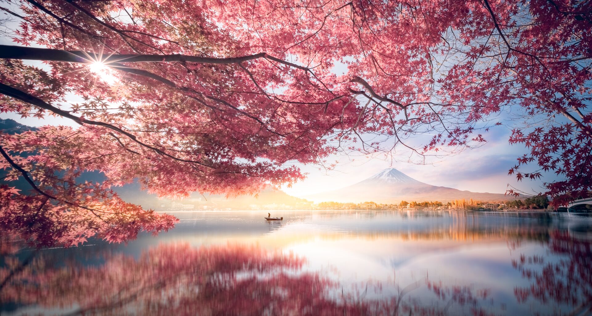 Mountain Fuji with morning fog over Lake Kawaguchiko in Japan and cherry blossoms in the foreground
